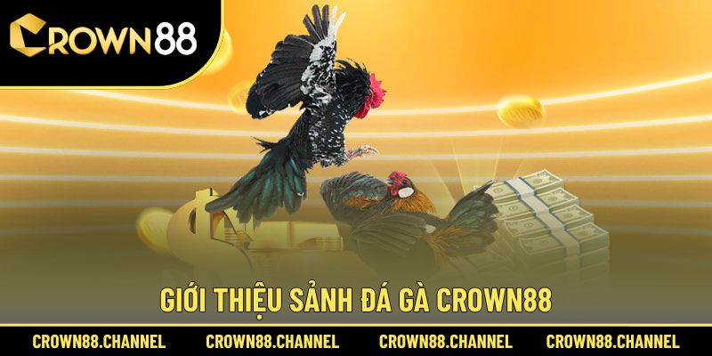 Sơ lược về sảnh đá gà Crown88