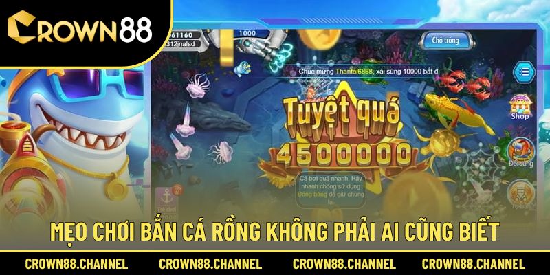 Cẩm nang chơi Bắn Cá Rồng từ cao thủ